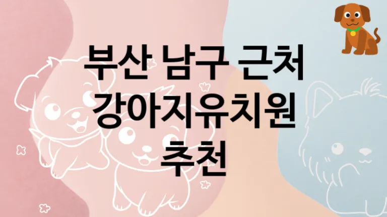 남구 관리 잘하는  강아지유치원 안내, 케어가격