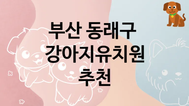 동래구 추천하는 댕댕이 강아지유치원 추천, 놀이터 및 교육 비용