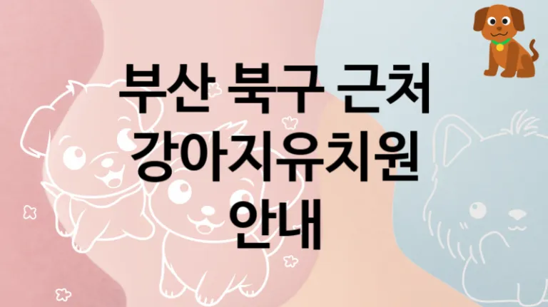 부산 북구 댕댕이 강아지유치원 놀이터 추천