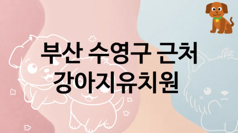 수영구 케어 잘 하는 댕댕이 강아지유치원 , 돌보미비용