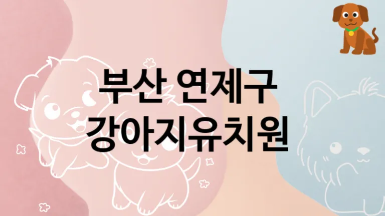 연제구 추천 댕댕이 강아지유치원 안내, 교육 및 관리 비용