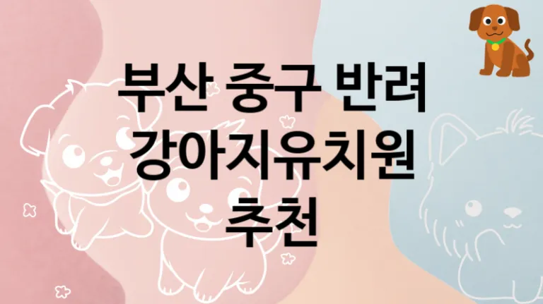 중구 추천하는 댕댕이 강아지유치원 안내, 놀이터 및 교육 비용