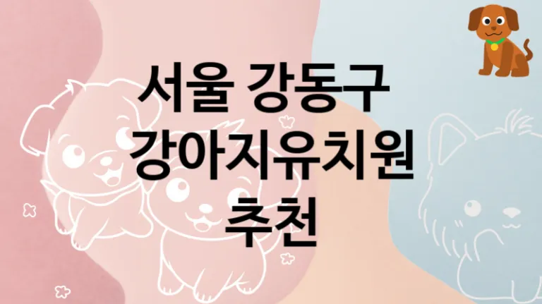 강동구 추천하는 댕댕이 강아지유치원 소개, 놀이터 및 교육 가격