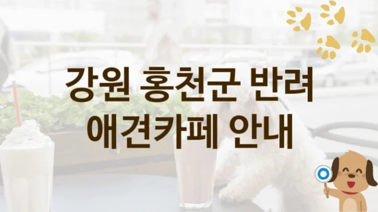 강원 홍천군  댕댕이 애견카페 안내, 비용 및 운영 정보