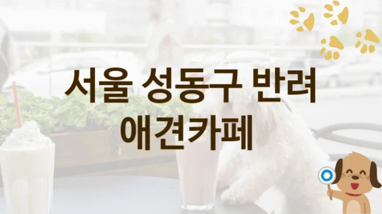성동구 댕댕이 맞춤 애견카페 추천 리스트, 놀이 공간 및 이용 요금
