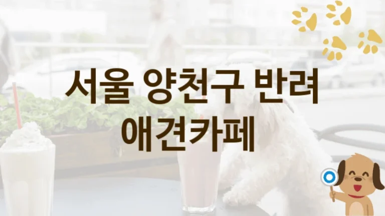 서울 양천구 강아지와 즐기는 애견카페 추천 명소, 입장료