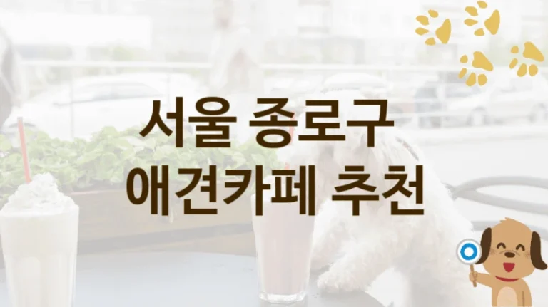 종로구 댕댕이 맞춤 애견카페 BEST, 입장료와 시설 안내