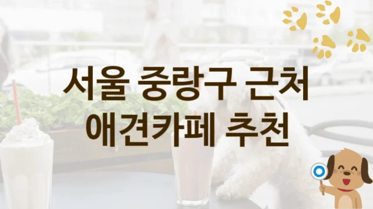 중랑구 댕댕이 맞춤 애견카페 TOP, 이용 방법 및 비용