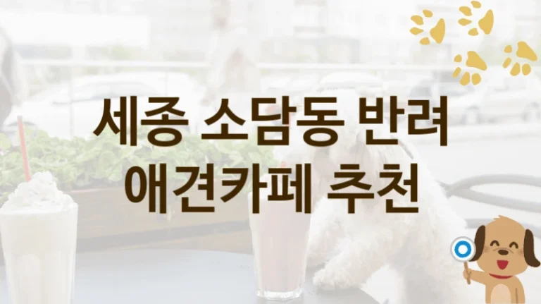 세종 소담동 후기 좋은  애견카페 놀이터, 입장료와 시설 안내