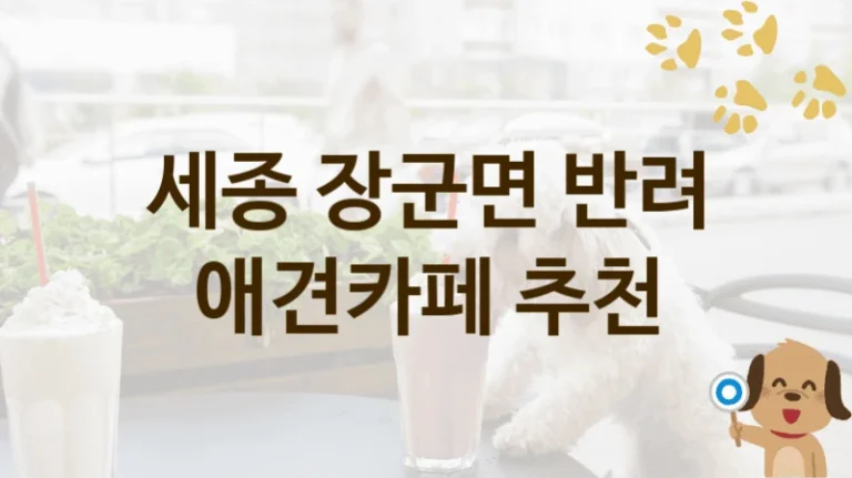 세종 장군면 자연 속 힐링 애견카페 TOP 추천, 가격과 서비스 안내