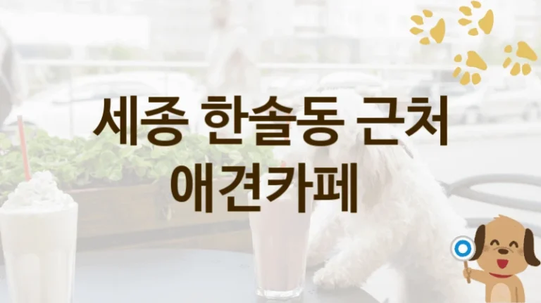 세종 한솔동 댕댕이 애견카페 놀이터 , 이용 가격