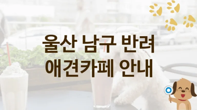 울산 남구 친절한  애견카페 , 비용