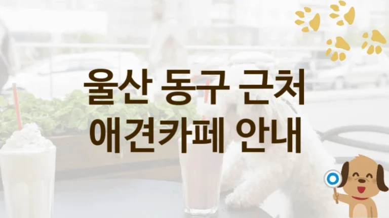울산 동구 실내·야외 겸비 애견카페 인기 명소, 가격과 서비스 안내