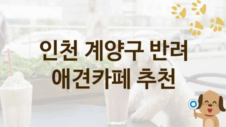인천 계양구 반려견과 함께하는 애견카페 BEST 리스트, 입장료