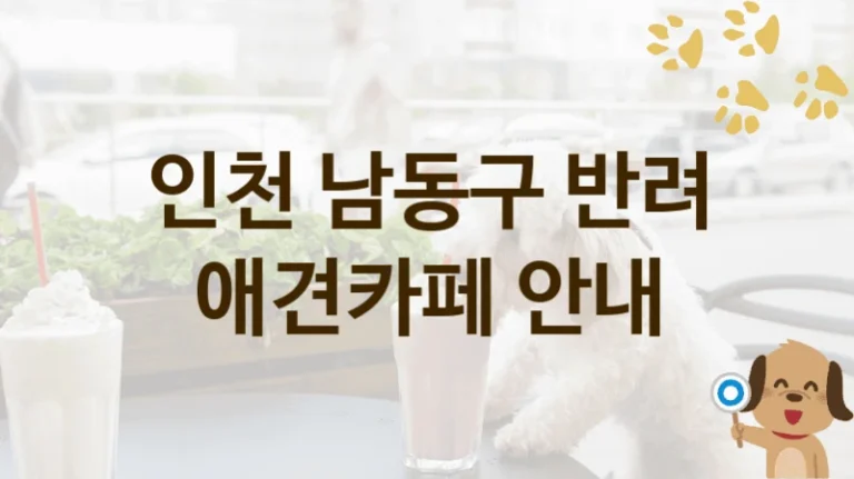 인천 남동구 근처 애견카페 놀이터 , 비용 안내
