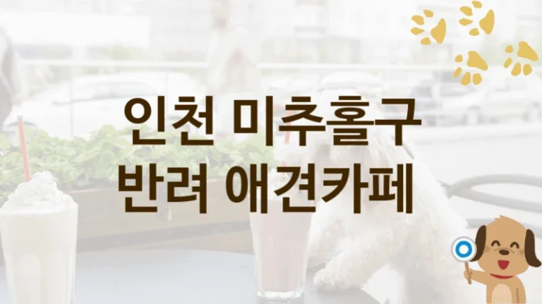 인천 미추홀구 강아지 애견카페  , 입장료