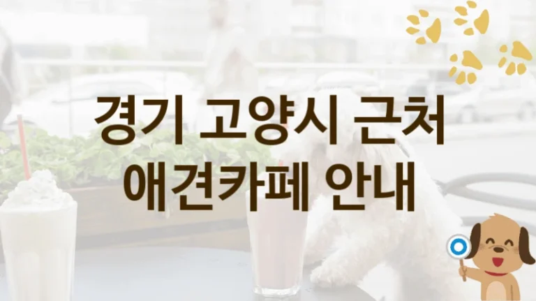 고양시 추천하는 댕댕이 애견카페 추천, 놀이터 및 입장 요금