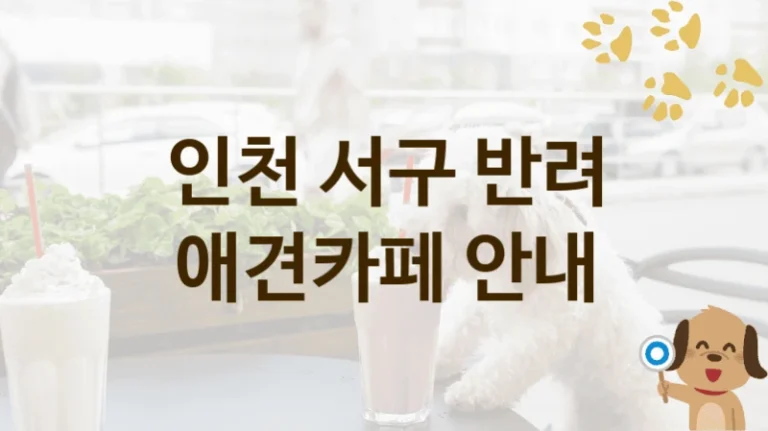 서구 댕댕이 맞춤 애견카페 추천 리스트, 놀이 공간 및 이용 요금