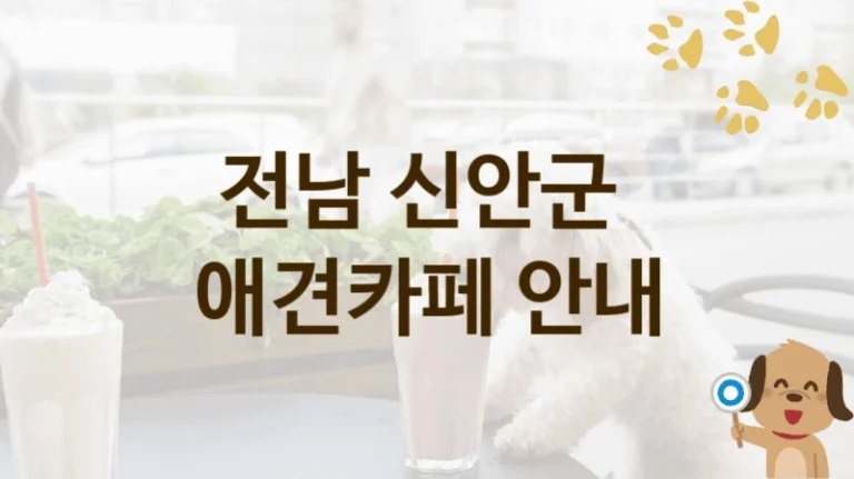 전남 신안군 댕댕이 애견카페 놀이터 안내, 입장료