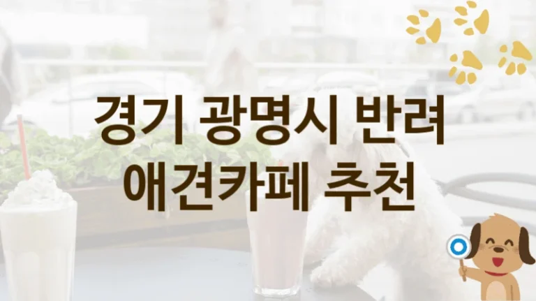 경기 광명시 자연 속 힐링 애견카페 인기 명소, 가격과 서비스 안내