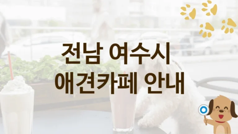 전남 여수시 자연 속 힐링 애견카페 TOP 추천, 입장료 및 이용 팁