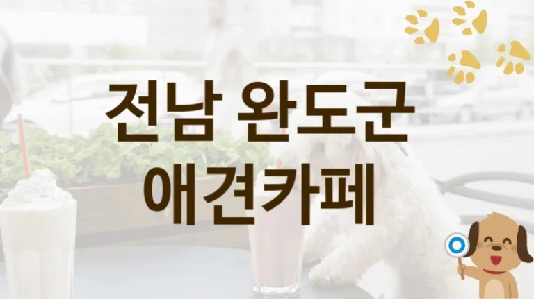 전남 완도군   애견카페 추천, 입장료와 시설 안내