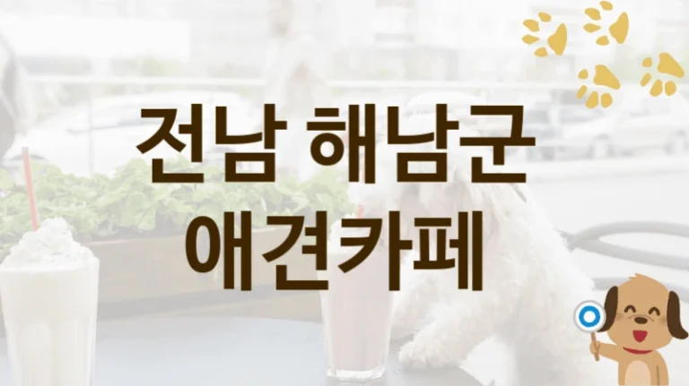 해남군 추천 반려견 애견카페 안내, 놀이터 및 입장 비용