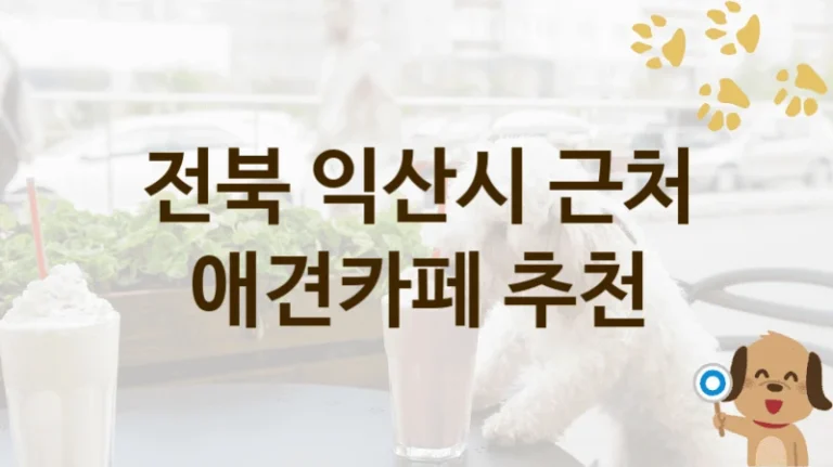 익산시 댕댕이 맞춤 애견카페 추천 리스트, 놀이 공간 및 이용 요금