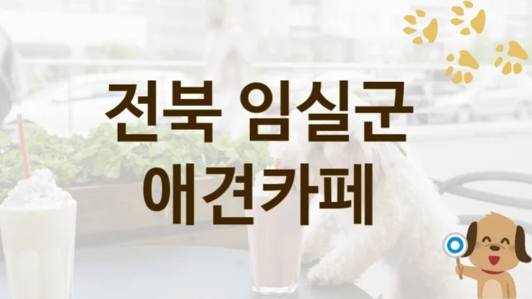 전북 임실군 반려견과 함께하는 애견카페 BEST 명소, 비용 안내