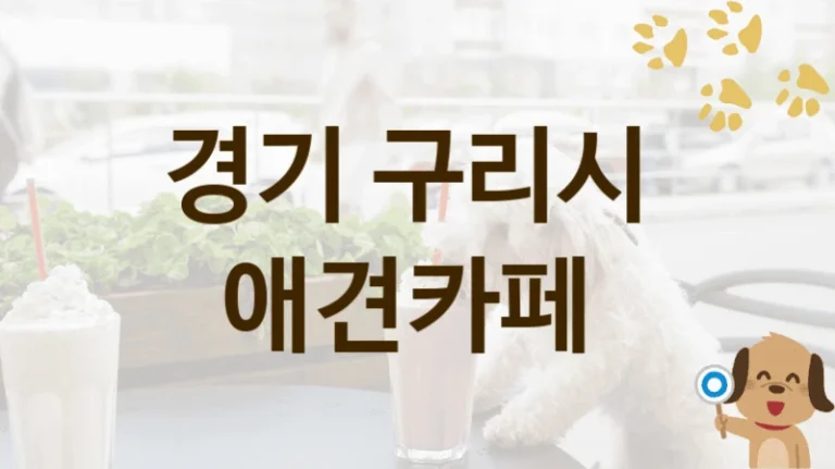 구리시 댕댕이 맞춤 애견카페 TOP, 입장료와 시설 안내