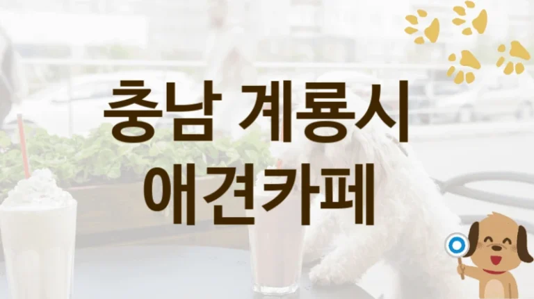 충남 계룡시 실내·야외 겸비 애견카페 TOP 추천, 비용 및 운영 정보