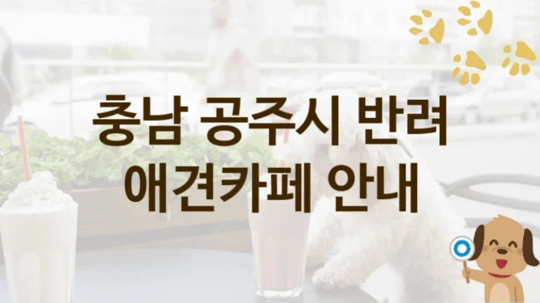 공주시 추천하는 반려견 애견카페 추천, 놀이터 및 입장 서비스 비용