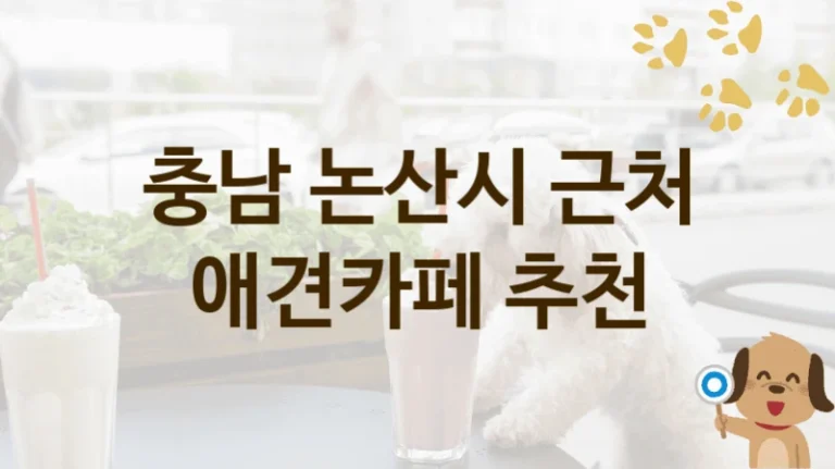 충남 논산시 평가좋은 반려견 애견카페 놀이터, 가격과 서비스 안내