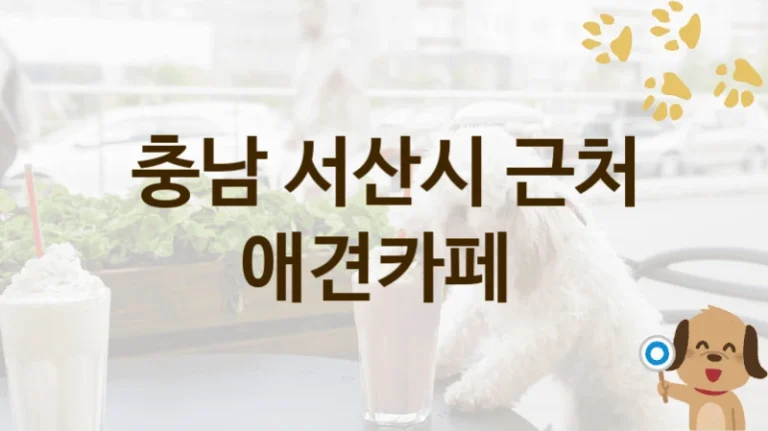 충남 서산시 반려견 전용 애견카페 TOP 추천, 비용 및 운영 정보
