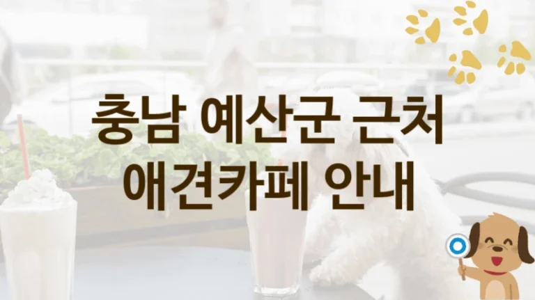 충남 예산군 강아지와 즐기는 애견카페 BEST 장소, 이용 가격