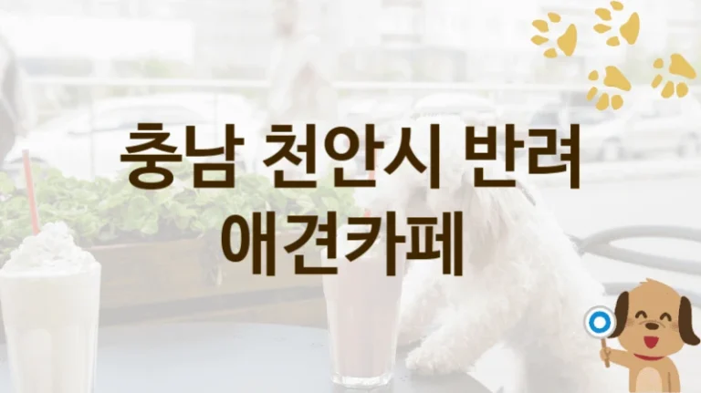 천안시 댕댕이 맞춤 애견카페 BEST, 이용 방법 및 비용