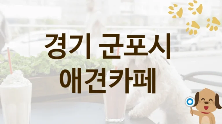 경기 군포시 실내·야외 겸비 애견카페 인기 명소, 가격과 서비스 안내