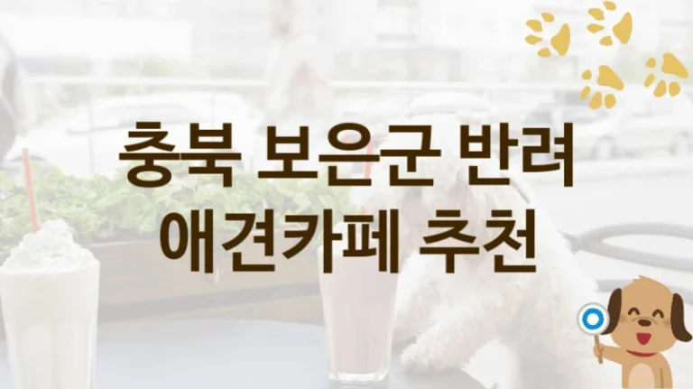 충북 보은군 친절한  애견카페 놀이터안내, 비용 및 운영 정보