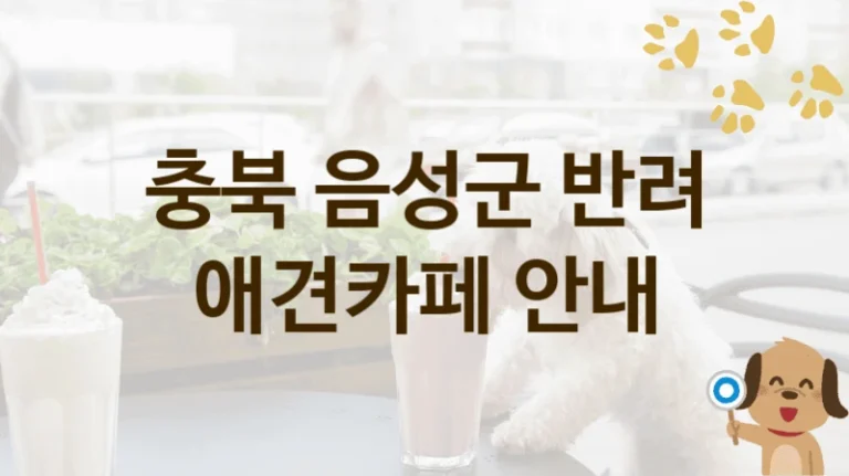 충북 음성군 강아지와 즐기는 애견카페 BEST 명소, 입장료