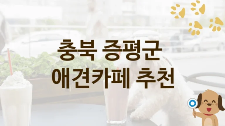 증평군 추천하는 강아지 애견카페 안내, 놀이터 및 입장 가격