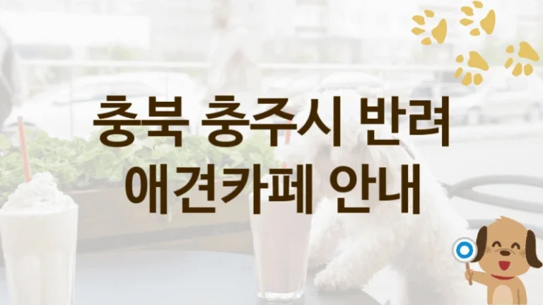 충북 충주시 반려견과 함께하는 애견카페 추천 명소, 비용 안내