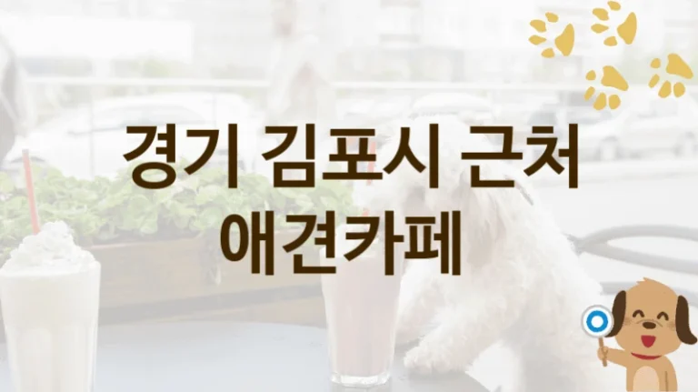 김포시 추천 반려견 애견카페 추천, 놀이터 및 입장 이용료