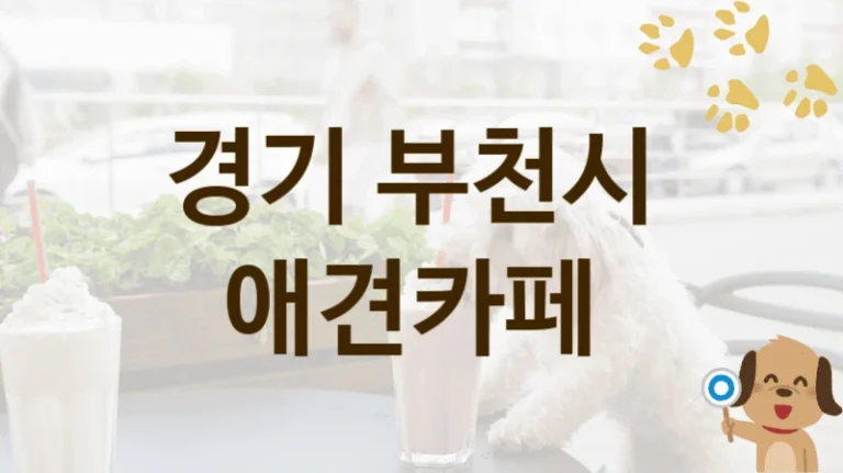 부천시 추천하는 강아지 애견카페 소개, 놀이터 및 입장 가격