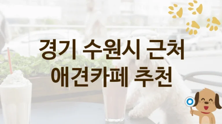 경기 수원시 실내·야외 겸비 애견카페 인기 명소, 입장료 및 이용 팁