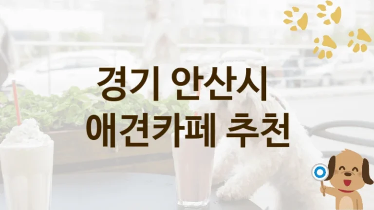 경기 안산시 실내·야외 겸비 애견카페 인기 명소, 가격과 서비스 안내