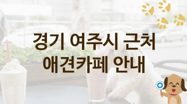 경기 여주시 강아지와 즐기는 애견카페 추천 리스트, 입장료