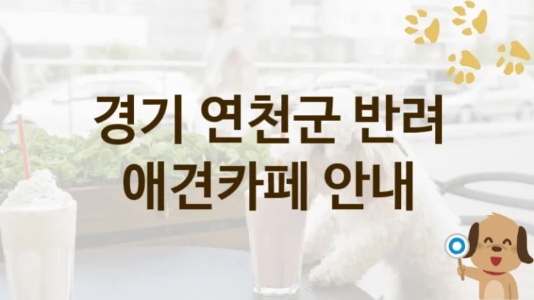 경기 연천군 반려견과 함께하는 애견카페 BEST 장소, 이용 가격