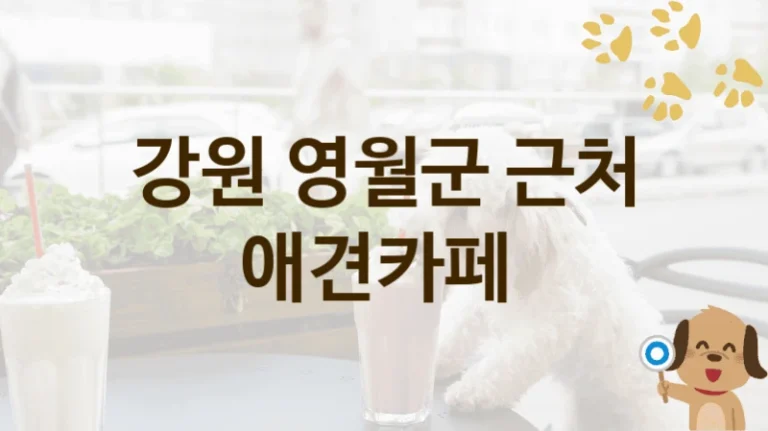 강원 영월군 반려견 전용 애견카페 TOP 추천, 비용 및 운영 정보