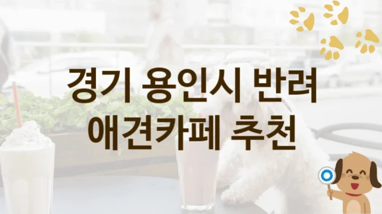 용인시 반려견 동반 가능 애견카페 추천 리스트, 입장료와 시설 안내