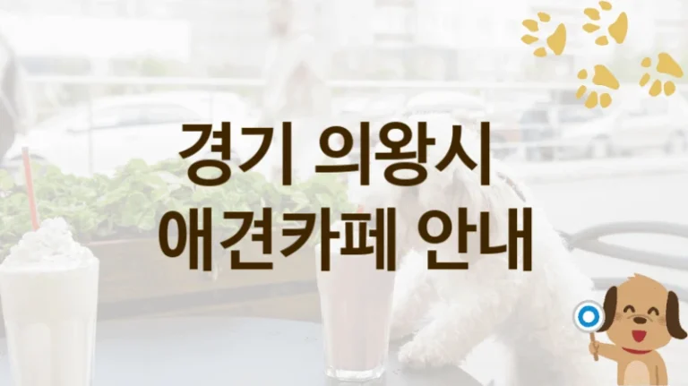 의왕시 반려견 동반 가능 애견카페 추천 리스트, 놀이 공간 및 이용 요금